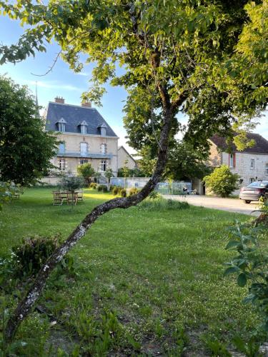 a branch of a tree in a park at La Closerie de Gigny Maison Templiere avec Piscine,jacuzzi in Gigny