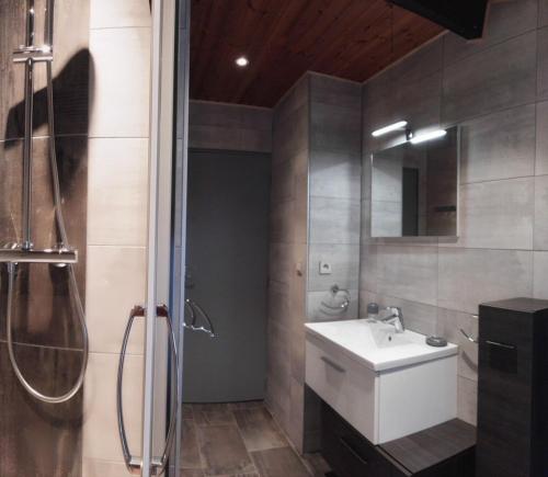ein Bad mit einem WC, einem Waschbecken und einer Dusche in der Unterkunft Villa Frédérick (app. 5 personnes) in Bagnols-en-Forêt
