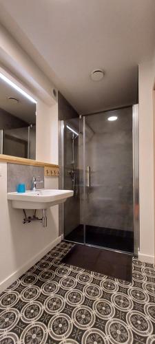 a bathroom with a sink and a shower at Maison Belle Vue in Gouvy