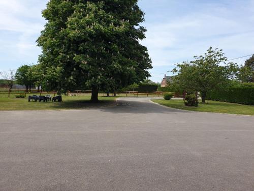 a park with a tree and benches in the grass at Gîte domaine de la galopade in Étréaupont