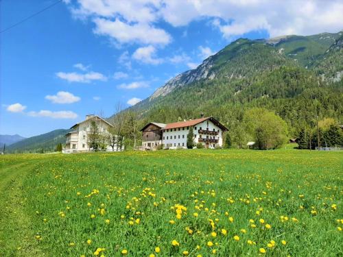 a field of flowers in front of a house at Pulvererhof in Achenkirch