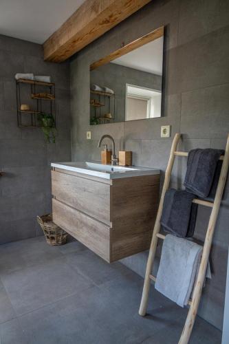 a bathroom with a sink and a mirror at B&B Hoeve Klein Haneveld in Sint-Oedenrode