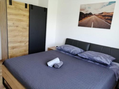 Katil atau katil-katil dalam bilik di New, modern, luxury apartment Ivan with jacuzzi