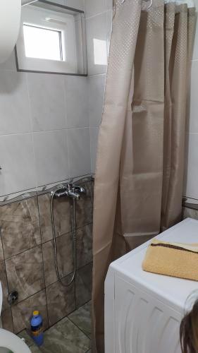 a bathroom with a shower and a toilet and a sink at Apartman Stević in Plužine