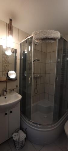 a bathroom with a shower and a sink at Apartamenty Pod Uwalonym Dębem in Jeżów Sudecki