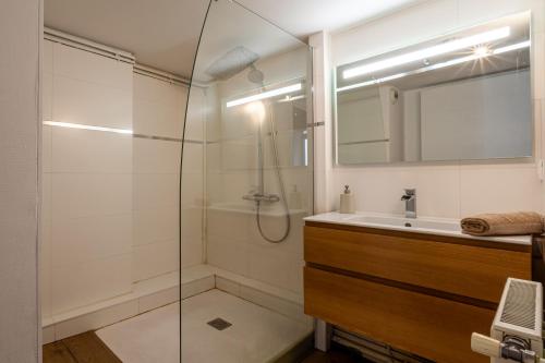 a bathroom with a shower and a sink at Superbe appartement duplex centre ville de Macon in Mâcon