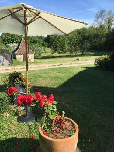 a planter with red flowers and an umbrella at Le Domaine du Gravier in Gramat