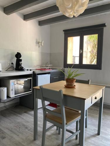 - une cuisine avec une table et une plante en pot dans l'établissement Studio chez l’habitant, à Mareuil-sur-Cher