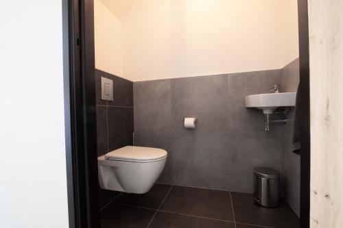 a bathroom with a toilet and a sink at erve Middendorp in Ansen