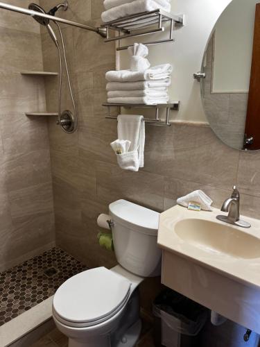 ein Badezimmer mit einem WC, einem Waschbecken und einem Spiegel in der Unterkunft Condor Motel - Beach Block in North Wildwood