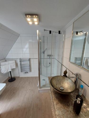 a bathroom with a sink and a shower at Landhof Osterdeich in Emmelsbüll-Horsbüll