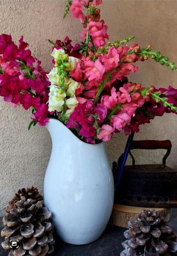 a white vase with flowers in it next to a pine cone at CASA AUTUNNO in Monzambano