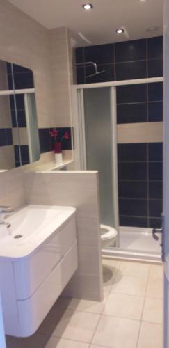 une salle de bain avec un lavabo, une douche et des toilettes dans l'établissement Sur le quai de port fréjus, à Fréjus
