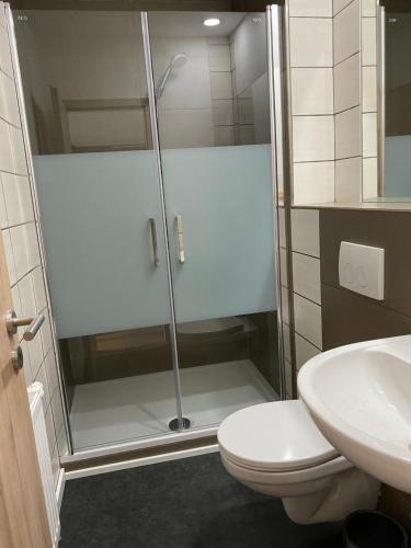ein Bad mit einer Dusche, einem WC und einem Waschbecken in der Unterkunft Gästehaus Bendsieferhof in Monschau