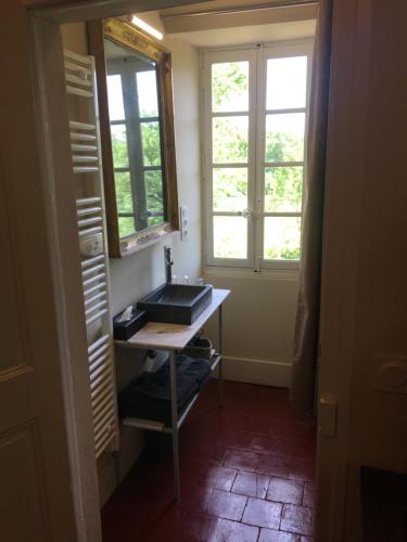 Les Plans的住宿－Domaine de Saint Charles，一间带水槽的浴室和两个窗户