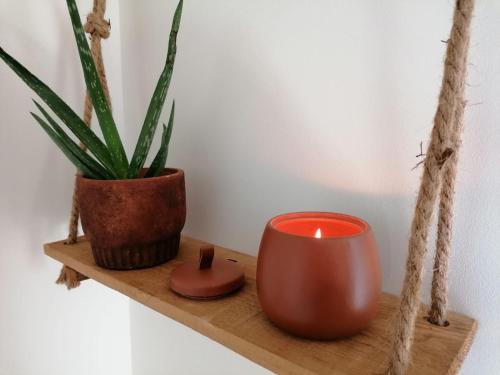 a candle and a potted plant on a wooden shelf at La Petite Boire - Chambres d'hôtes près d'Angers in Mûrs-Érigné