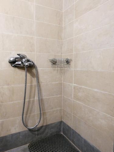 a shower with a shower head in a bathroom at Το Λαϊνάκι by Fox Tale Guest House in Fternón