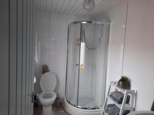 uma casa de banho com um chuveiro e um WC num quarto em Ella's Hoose em Wick