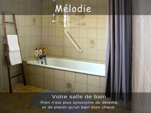 La salle de bains est pourvue d'une baignoire et d'une douche. dans l'établissement Mélodie lumineuse et spacieuse à 6km du Pal, à Dompierre-sur-Besbre