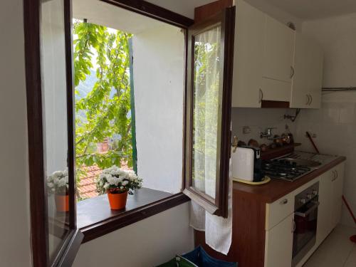 a kitchen with a window and a counter with flowers at Casa di nonno Memé CITRA 008035-LT-0018 in Andagna