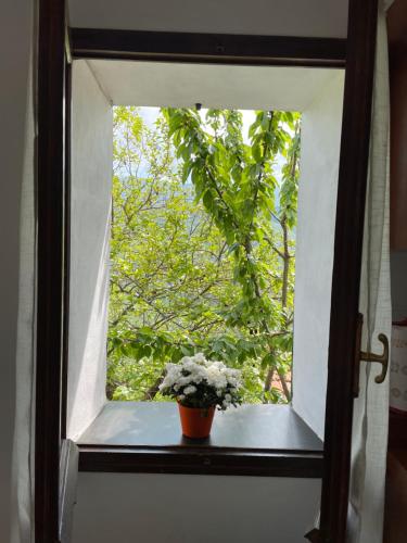 a window with a pot of flowers on a window sill at Casa di nonno Memé CITRA 008035-LT-0018 in Andagna