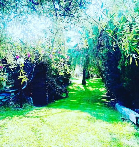 a park with green grass and trees and a bench at Villa dei Marchesi Carrozza in Santa Teresa di Riva