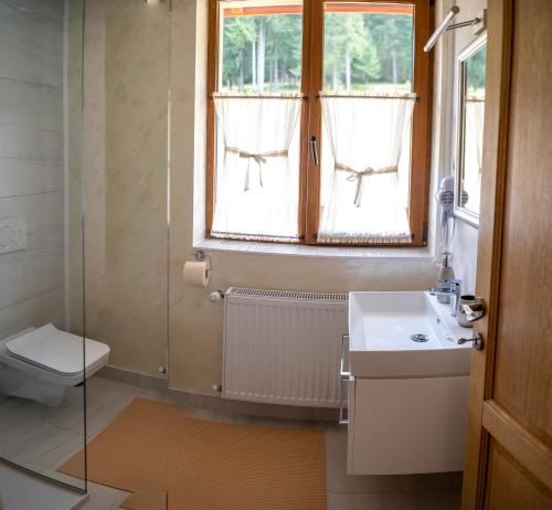 a bathroom with a sink and a toilet and a window at Poiana Brazilor in Borşa