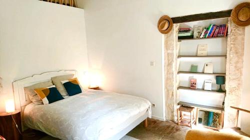 1 dormitorio con cama y estante para libros en Grande suite sur jardin dans Montpellier centre, en Montpellier