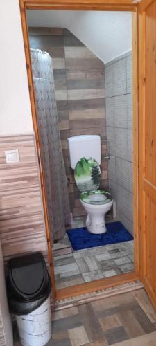 ein Bad mit WC in einem kleinen Zimmer in der Unterkunft Apartments Daut's Tower in Sarajevo