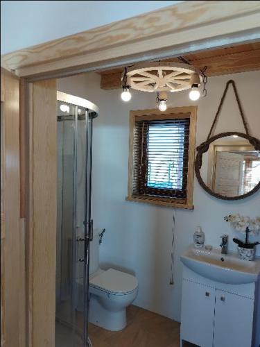 a bathroom with a toilet and a sink and a mirror at KALINOWY SAD DOMKI z JACUZZI i SAUNĄ in Mikołajki