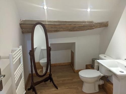 a bathroom with a mirror and a toilet and a sink at Trois Mousquetaires Gîte in Saint-Dizier-Leyrenne