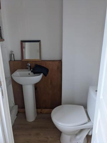 a bathroom with a white toilet and a sink at Trois Mousquetaires Gîte in Saint-Dizier-Leyrenne