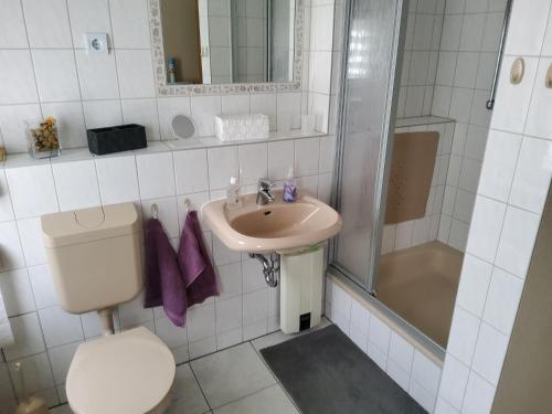 a bathroom with a toilet and a sink and a shower at Unterkunft Müritz in Waren