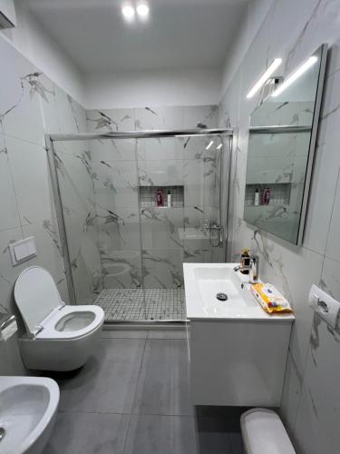 ein Bad mit einer Dusche, einem WC und einem Waschbecken in der Unterkunft Gersi's Daily Apartament in Tirana