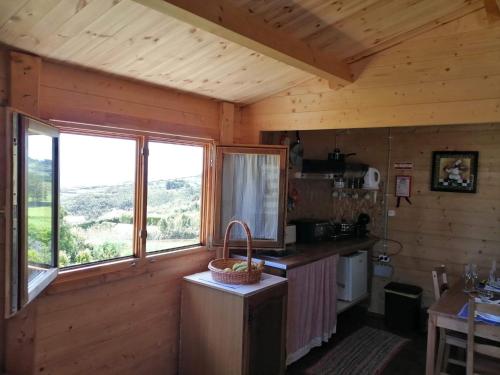 Cabaña con cocina con paredes de madera y ventanas. en Quinta das Primas, en Lomba