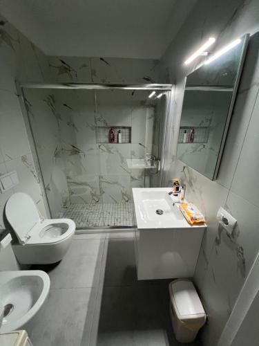 ein Bad mit einem Waschbecken, einem WC und einer Dusche in der Unterkunft Gersi's Daily Apartament in Tirana