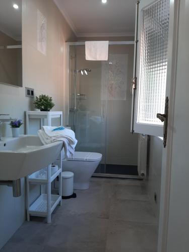 a bathroom with a sink and a toilet and a shower at Hotel Alvaro frente Palacio-Museo Selgas in Cudillero