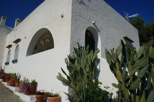 a white church with cacti in front of it at Casa Molo 13 in Mattinata
