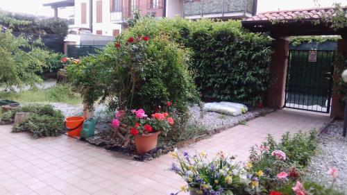 a garden with flowers and plants on a patio at La Quercia Fiorita in Trivolzio