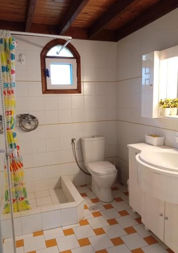 a bathroom with a toilet and a sink at Votsalo Summer House by the Beach in Porto Heli