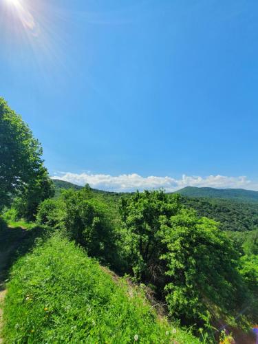 a view from the top of a hill with trees at Holiday Home Modruš in Modruš