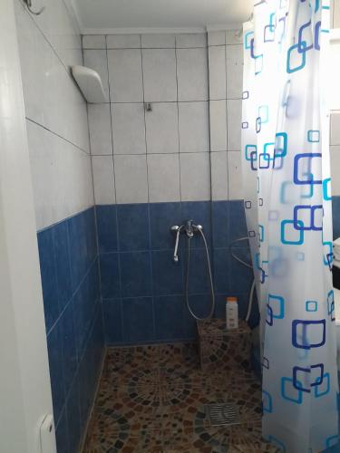 a bathroom with a shower with blue and white tiles at Central city house in Tulcea