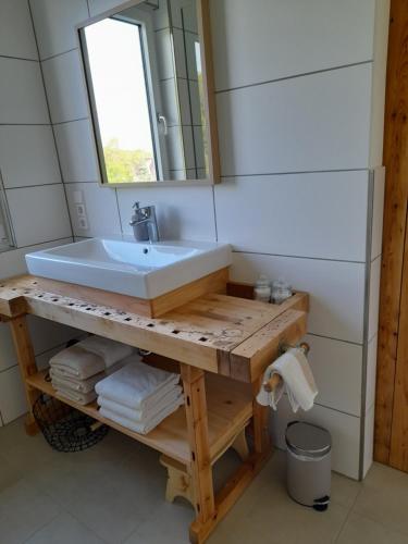 a bathroom with a sink and a mirror at LAND-Häusle in Weikersheim