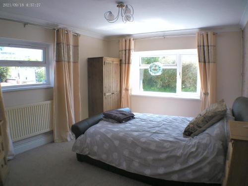 a bedroom with a bed and two windows at 1 bedroom Annex in the heart of Amman Valley in Bettws
