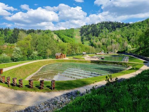 a garden with a pond in the middle of a field at Apartment in a historical house in the center of Levoča in Levoča