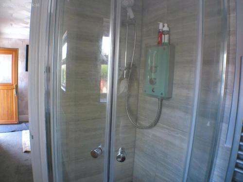 y baño con ducha y puerta de cristal. en 1 bedroom Annex in the heart of Amman Valley en Bettws