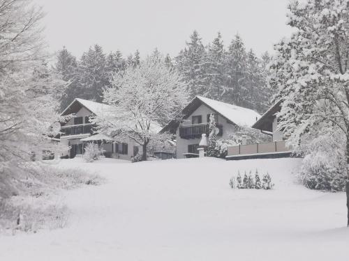 a house covered in snow in front at Ferienhaus bei Simone mit Sauna in Kirchheim