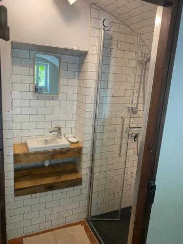 La salle de bains est pourvue d'un lavabo et d'un miroir. dans l'établissement La Genevraie, à Gap