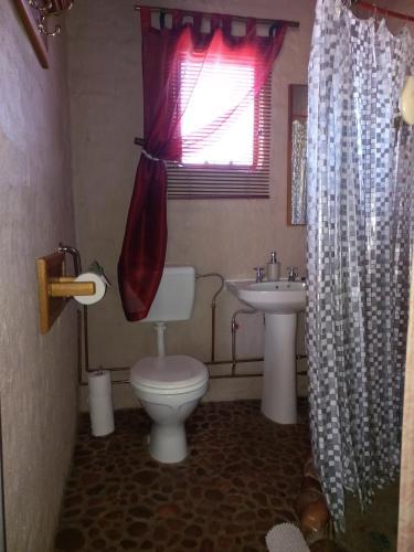 a bathroom with a toilet and a sink at Five Pebbles on Piece of Africa in Cullinan
