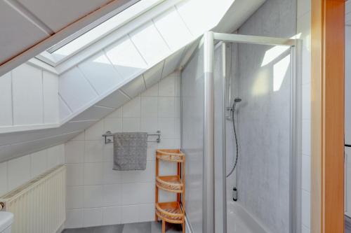 ein Bad mit einer Dusche und einer Leiter in der Unterkunft Ferienhaus bei Zoe mit Sauna in Kirchheim
